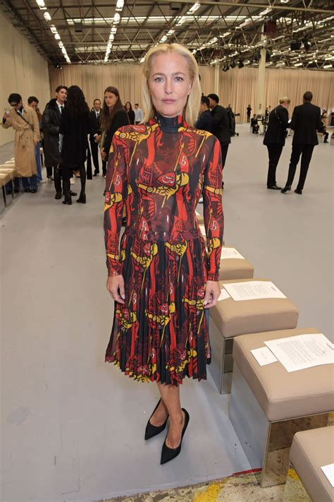 gillian anderson burberry